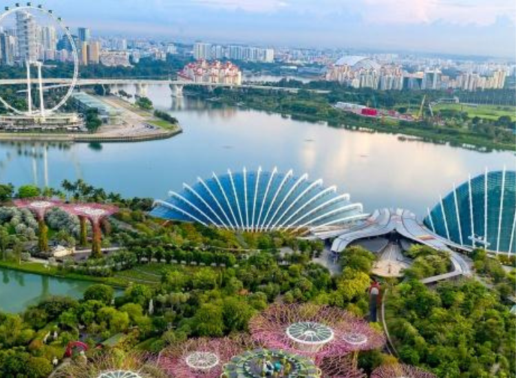 Gardens by the Bay Singapore Toàn cảnh Gardens by the Bay với Supertree Grove tại vịnh Marina Singapore